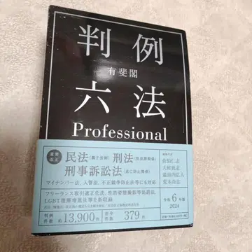 유이카쿠 판례육법 Professional 레이와 6년판