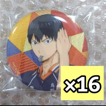 16개 카게야마 토비오 하이큐 라메키라 칸배지2
