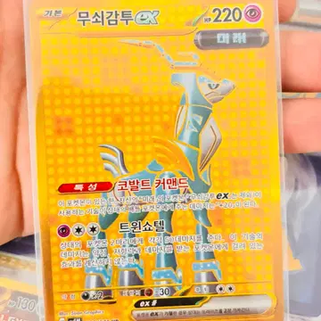 2024 무쇠감투ex&파오젠ex 2023딩루ex Ur
