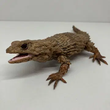 [ 생물대도감 ] 아르마딜로 도마뱀 먹선 ver