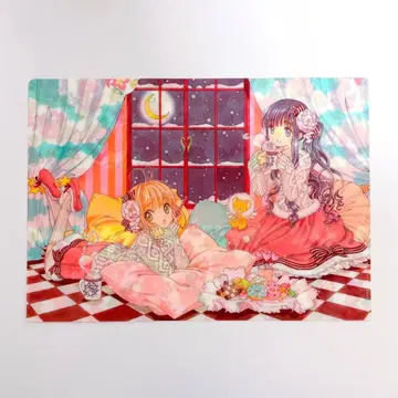 카드캡터 사쿠라 클리어 파일 C
