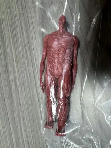 진격의 거인 제일복권 I상 땅울림 피규어