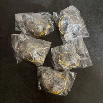 털뭉치 푸들 5개 세트