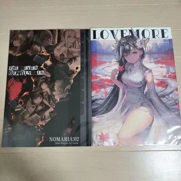 오오쿠마 마이 야소노 마리아 화집 아트북 2권 세트