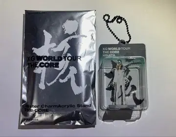 XG THE CORE HINATA 블리스터 참 아크릴 스탠드