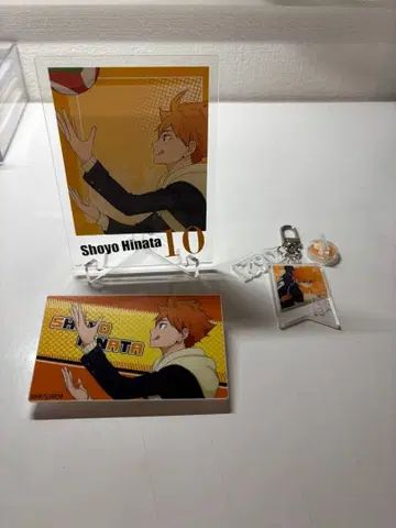 하이큐!! 히나타 쇼요 아크릴 스탠드, 배지, 키링