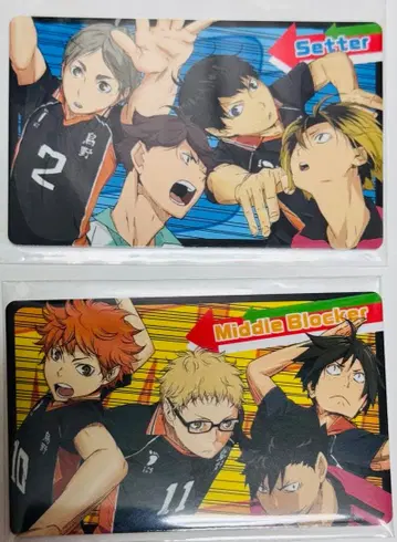 하이큐 버라이어티 카드 카게야마 쿠로오 오이카와 코즈메 세터 패러디