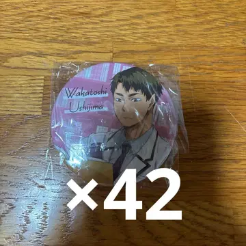 우시지마 와카토시 캔뱃지 요리미치