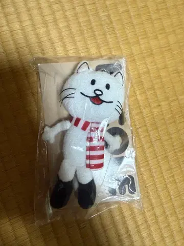 BUMP OF CHICKEN 니콜 키링