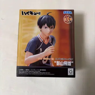 카게야마 피규어 하이큐