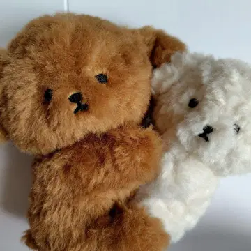 모후모프렌즈 다코 푸들 베이지 x 화이트 봉제 인형