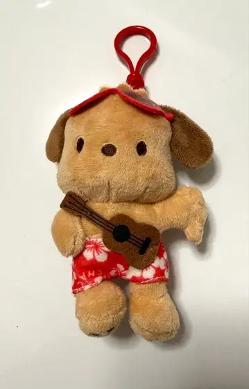 하와이 한정판 포차코 키링