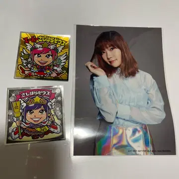 사시하라 리노 세트 브로마이드 빅쿠리맨 씰