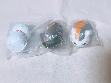 [나츠메 우인장] 친마리냥코선생 소후비