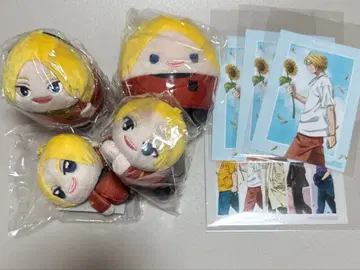 사카모토 데이즈 아사쿠라 신 세트