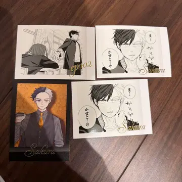 5주년 원화전 윈드브레이커 윈브레전 파샤코레 Premiere 벚꽃