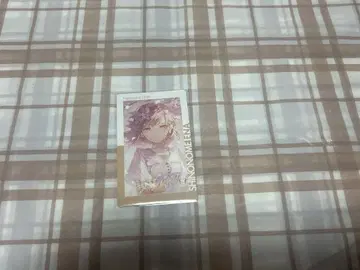 프로세카 시노노메 에나 에피카 26c 금박