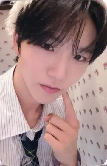 NCT WISH mu-mo JAEHEE WISHFUL