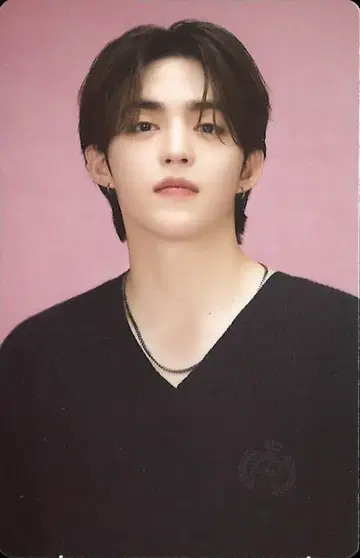 SEVENTEEN S.COUPS 2024 CARAT LAND 5/87