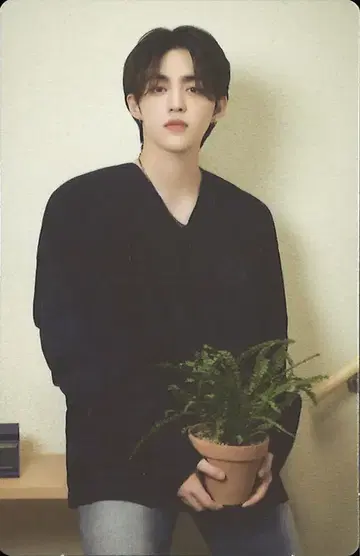 세븐틴 에스쿱스 2024 캐럿랜드 2/87