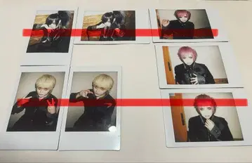 자아자아 폴라로이드 영야 춘아 아안