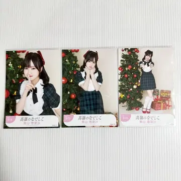 히가시야마 에리사 윈터 윈터 컴프 브로마이드 타카네노 나데시코 타카네코