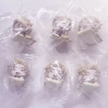 WIND BREAKER 윈브레 니이 아키히코 오네무탄 vol.2 6개