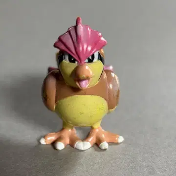 포켓몬 몬스터 컬렉션 비둘기