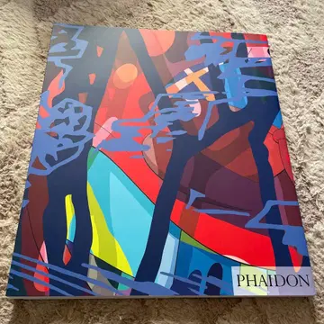 Phaidon KAWS 아트북