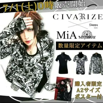 civarize V계 m 락 고딕 mejibray 가제트 단종
