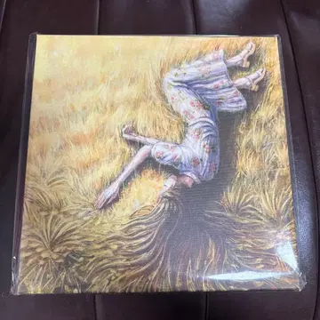 요루시카 캔버스 프레임 [치노카테]