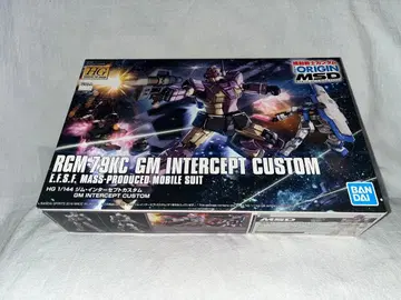 HG 기동전사 건담 THE ORIGIN MSD 짐 인터셉트 커스텀