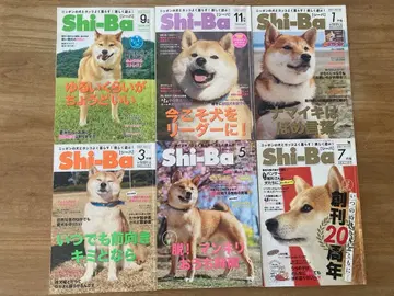 시바견 잡지 Shi-Ba vol.114~vol.134 21권