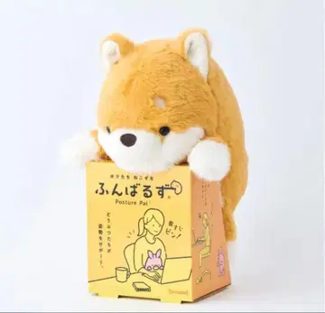 굼바루즈 시바견