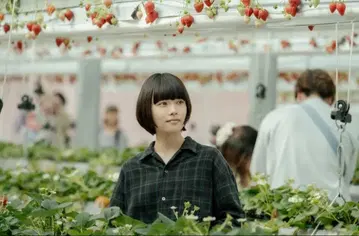 steven alan 긴팔 셔츠 S 그레이 계열 체크 스기사키 하나 착용