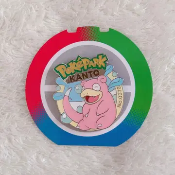 포켓몬 파크 야돈 핀즈 핀 배지