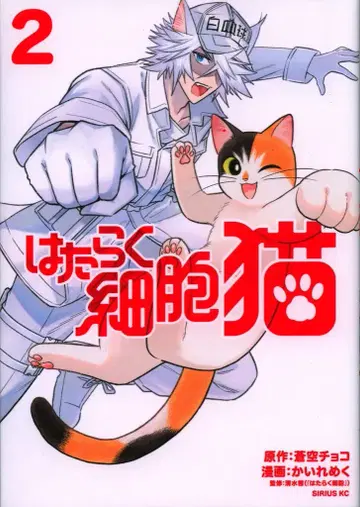 코단샤 시리우스KC 해수욕장!! 일하는 세포 고양이 2