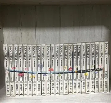 바람의 검심 완전판 전권 세트