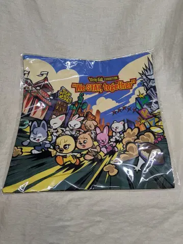 StrayKids We STAY together 쿠션 커버