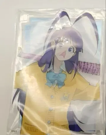 BLEACH WORLD A상 아크릴 보드 지젤 주얼