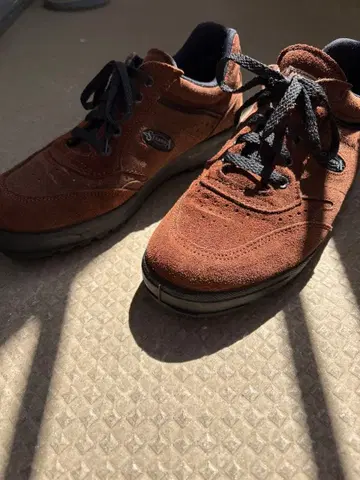 SEGARRA 사이즈 43