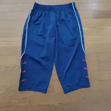 Puma 네이비 숏팬츠