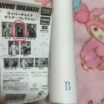 WINDBREAKER 사이버 차이나 포스터 컬렉션 스오 하야토