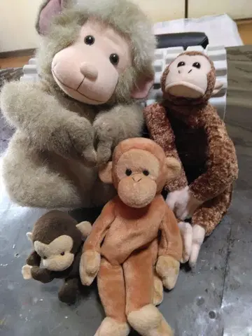 원숭이 봉제 인형 4개 세트