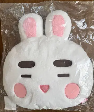 SHINee ONEW 온유 쿠션