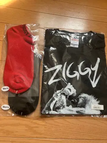 ZIGGY 모리시게 주이치 티셔츠 양말