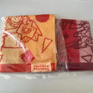 포켓몬 트레이너즈 게스트 타월 단델&키바나 2장 세트