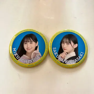 이치노세 미쿠 & 카와사키 사쿠라 캔뱃지