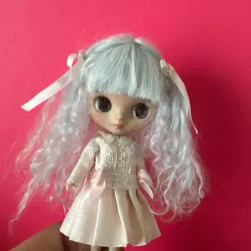 미니 브라이스 커스텀