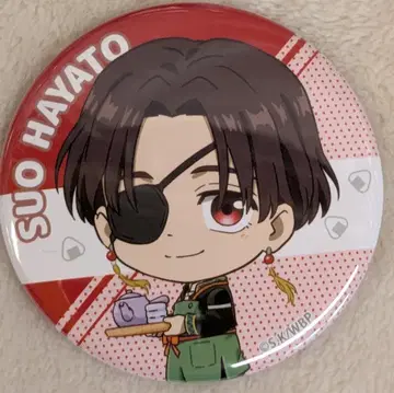 아이라이츠 캔뱃지 컬렉션 스오 하야토